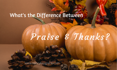 Whats-the-Difference-between-praise-thanks-1-4049455066