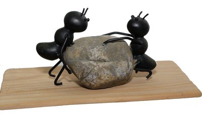 Ants
