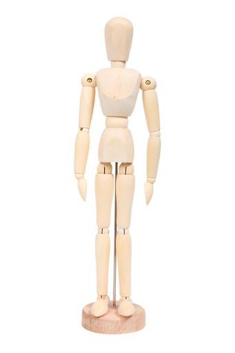 Body