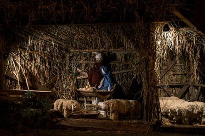 Baby Jesus in stable