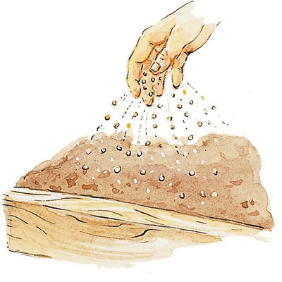 Broadcasting seeds