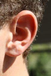ear