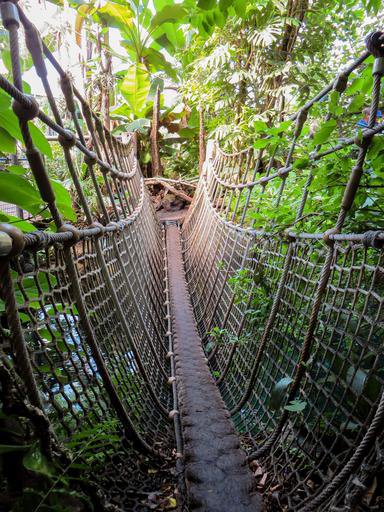 Bridge