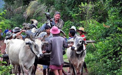 Ox cart