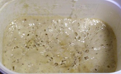 Sourdough