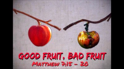 Fruit