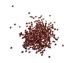 Mustard seeds