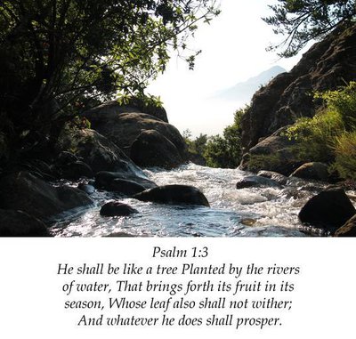 Fruits of the Spirit