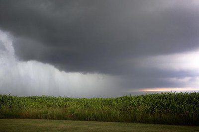 Rain clouds