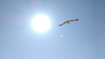 Light