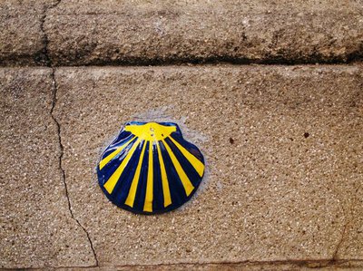 Shell image