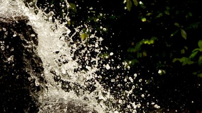 Water, water
